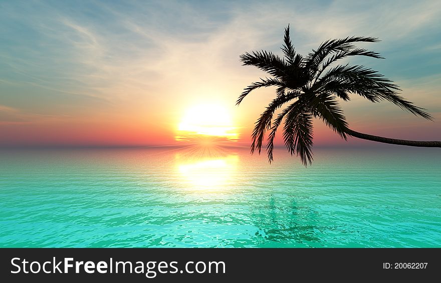 The horizon and palm tree