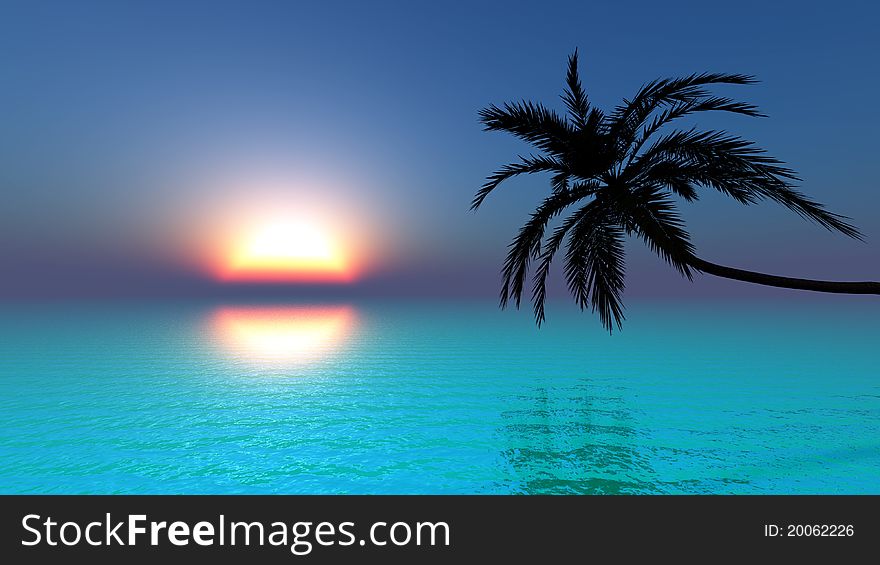 The horizon and palm tree