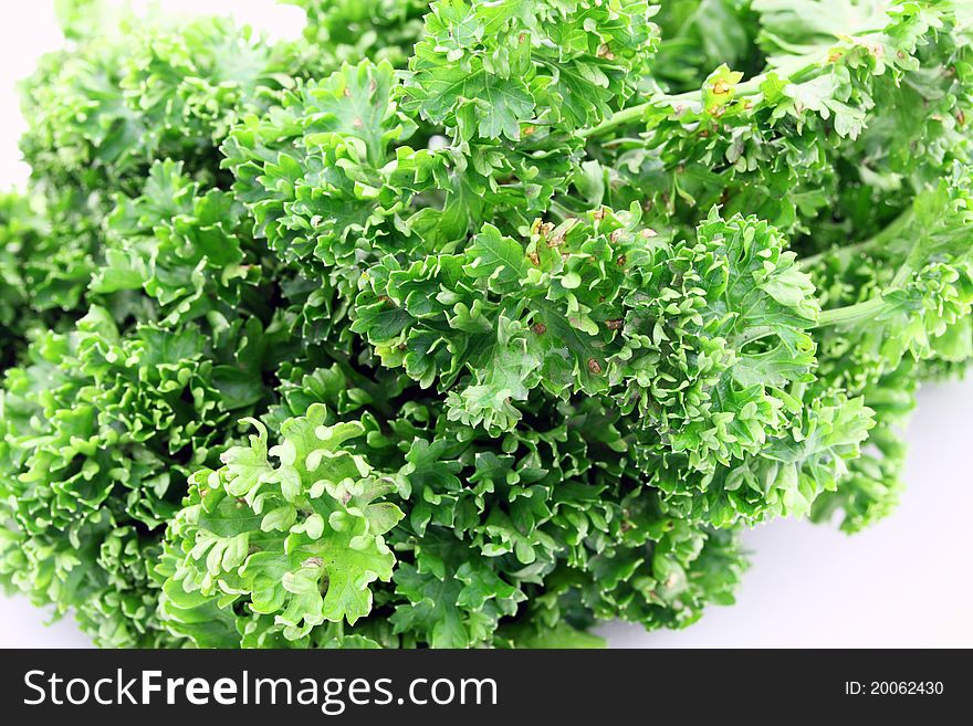 Bright green parsley on a white background.