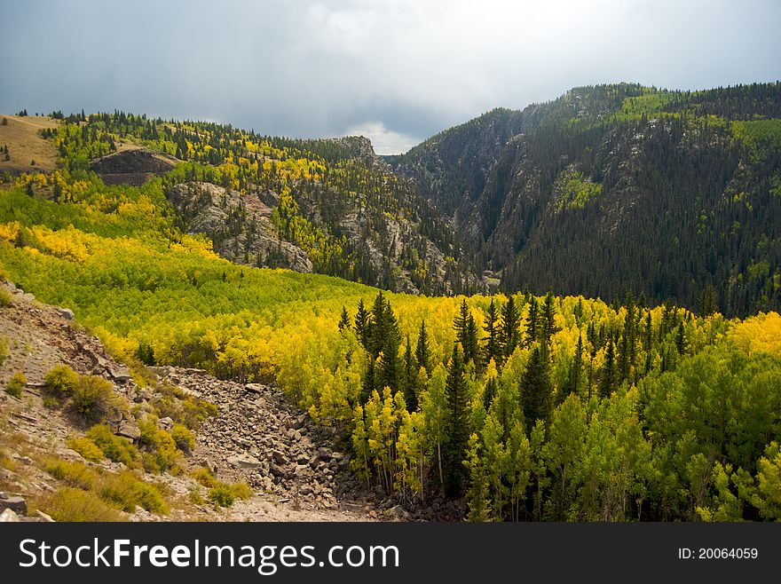 Fall foliage found in the San Juan mountains near the Colorado and New Mexico border. Fall foliage found in the San Juan mountains near the Colorado and New Mexico border