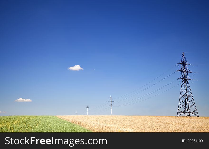 Electrical net of poles on a panorama of blue sky and wheat field. Electrical net of poles on a panorama of blue sky and wheat field