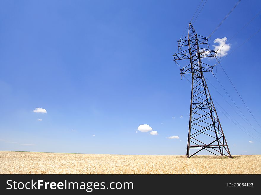 Electrical Net Of Poles At Wheat Field