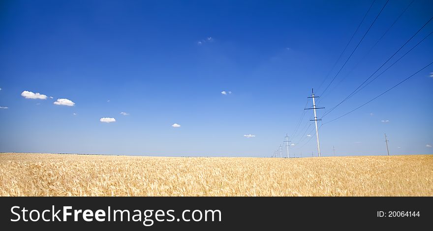 Electrical net of poles on a panorama of blue sky and wheat field. Electrical net of poles on a panorama of blue sky and wheat field