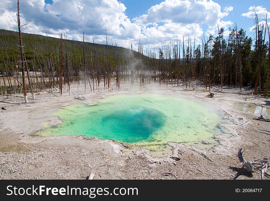 Emerald Spring In The Norris Geyser Basin