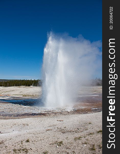 Geyser in Old Faithful Area of Yellowstone