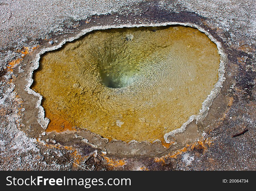 Hot Geyser Pool In Yellowstone, WY