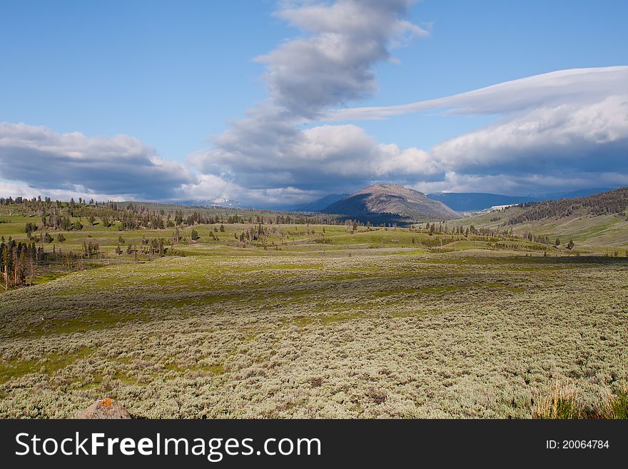 Lamar Valley in Yellowstone National Park, Wyoming