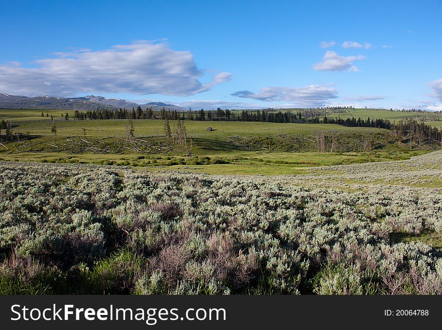 Lamar Valley in Yellowstone National Park, Wyoming