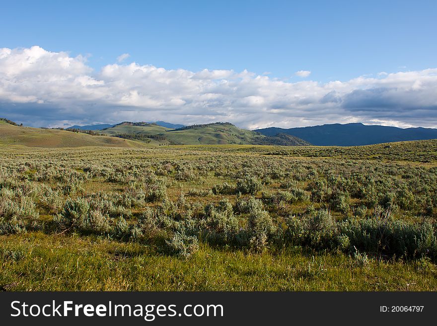 Lamar Valley In Yellowstone