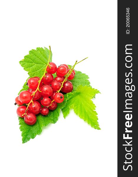 Red currants with green leaves isolated on a white background