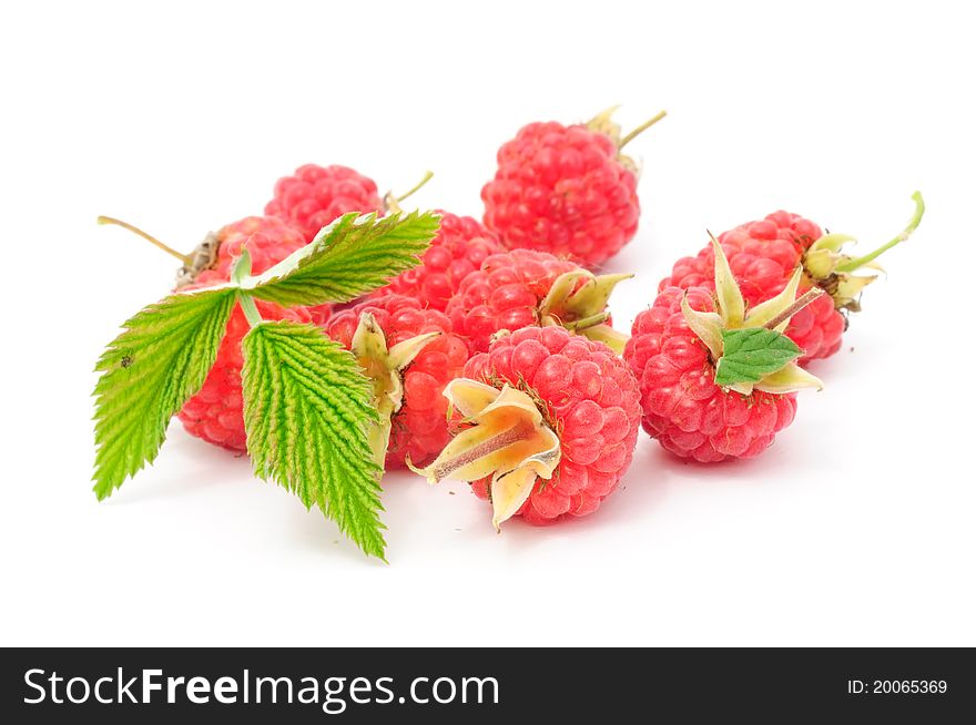 Red raspberries with a green leaf isolated on a white background. Red raspberries with a green leaf isolated on a white background