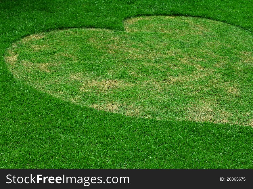 Image of fresh spring green grass, Heart shape.