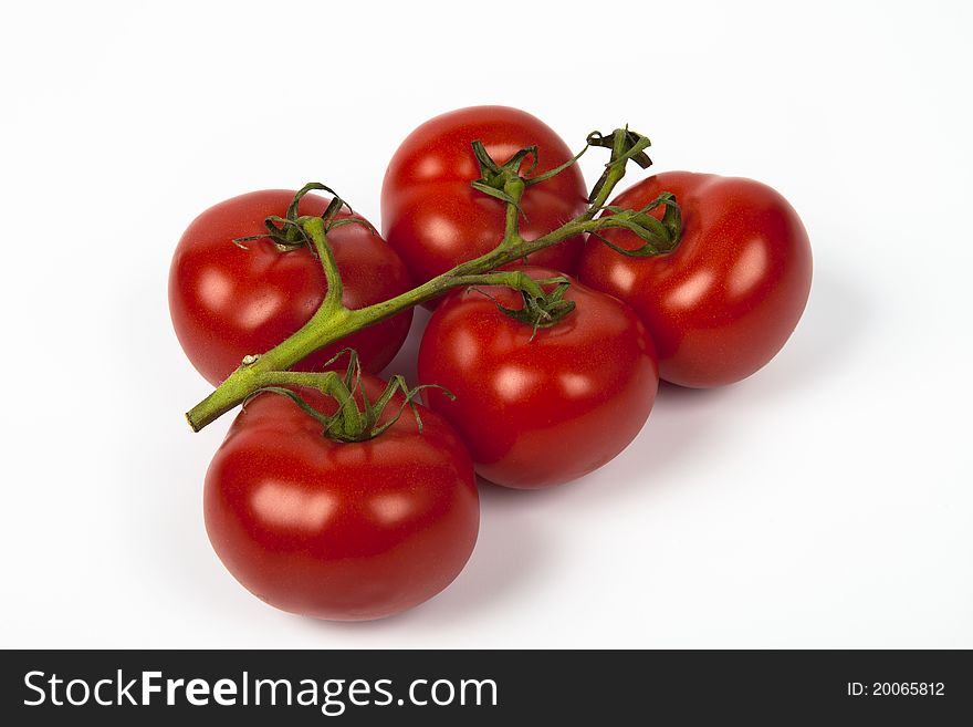 Five tomatoes on a white background. Five tomatoes on a white background