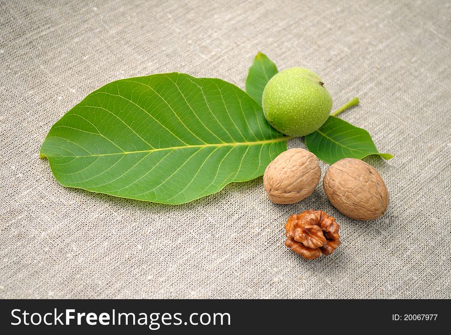 Walnuts with leaves on a background of rough cloth