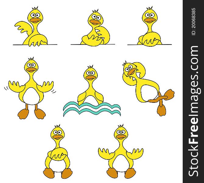 Illustration set of 8 cute cartoon ducks. Illustration set of 8 cute cartoon ducks