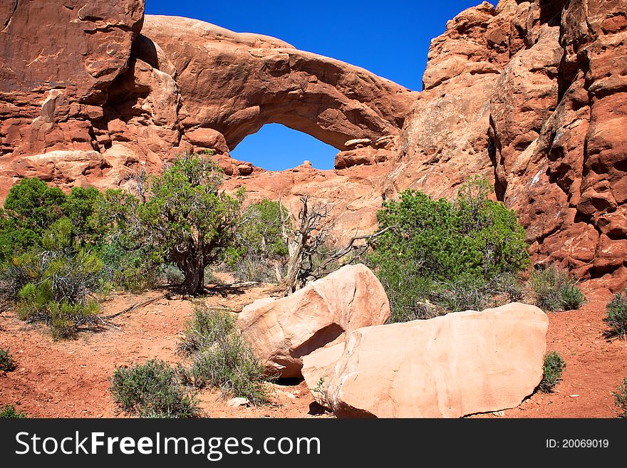 Landscape at Arches National Park