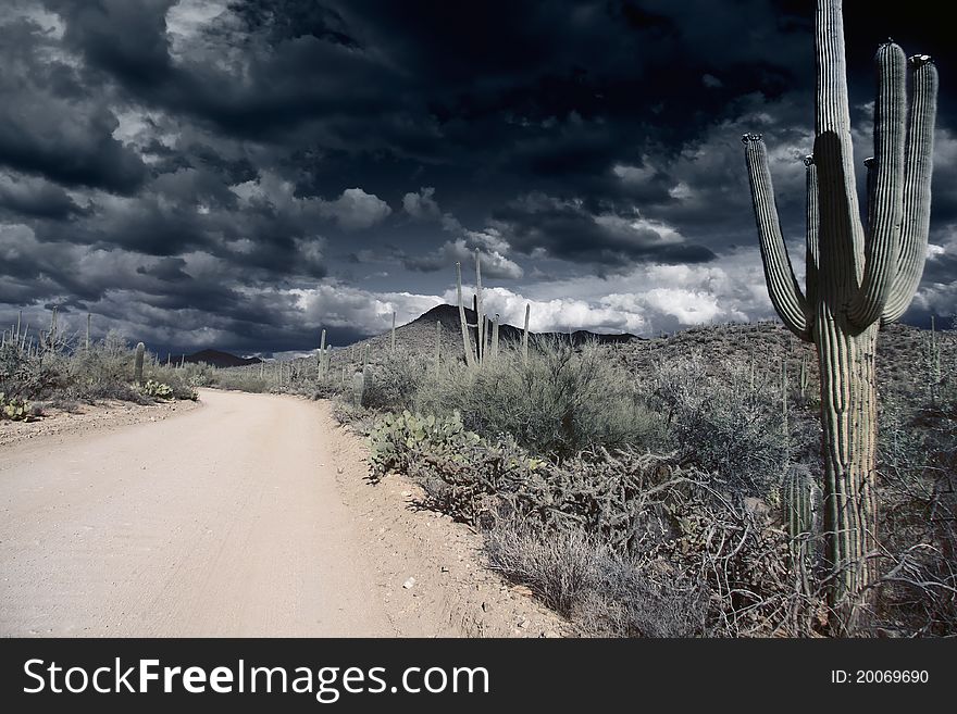 Dirt road through Saguaro national park with stormy weather