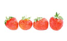 Row Of Four Strawberries Isolated Stock Photo Row Of Four Strawberries Isolated Stock Photo