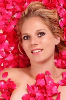Roses Sleeping Royalty Free Stock Photo Roses Sleeping Royalty Free Stock Photo