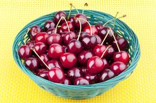 Fresh Picked Organic Cherries Royalty Free Stock Photography Fresh Picked Organic Cherries Royalty Free Stock Photography