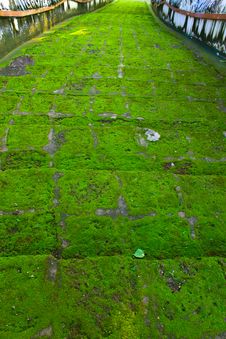 Moss And Stairway Royalty Free Stock Image Moss And Stairway Royalty Free Stock Image