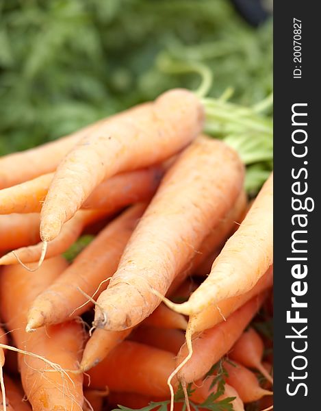 Fresh Carrots At The Local Market
