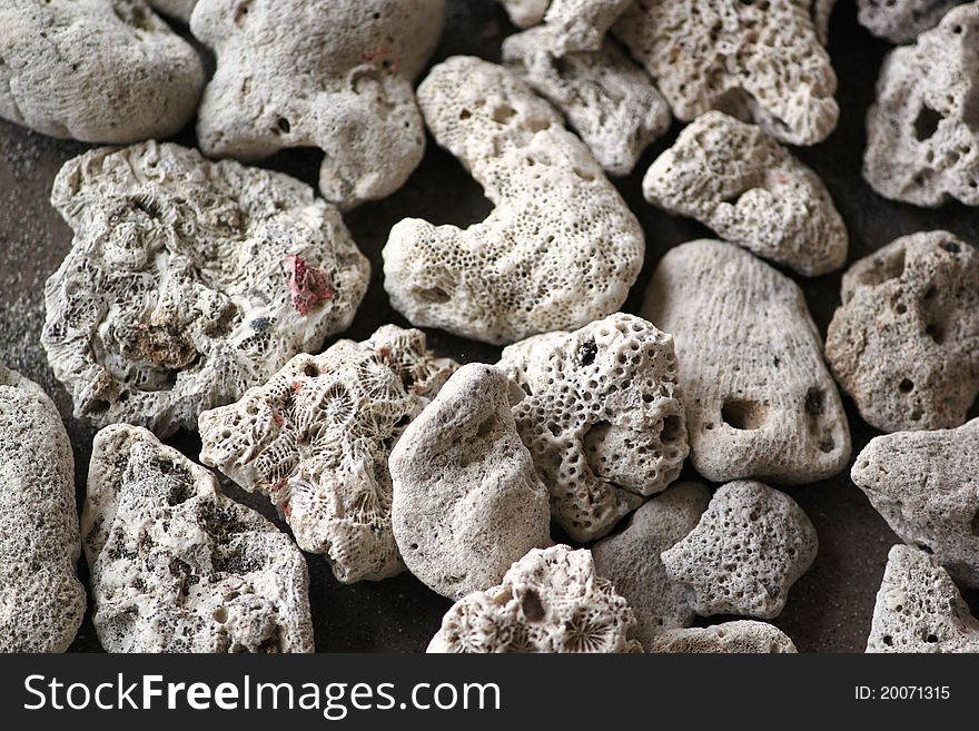 A close up shot of sea rocks and corals