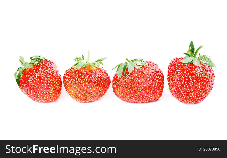 Row Of Four Strawberries Isolated