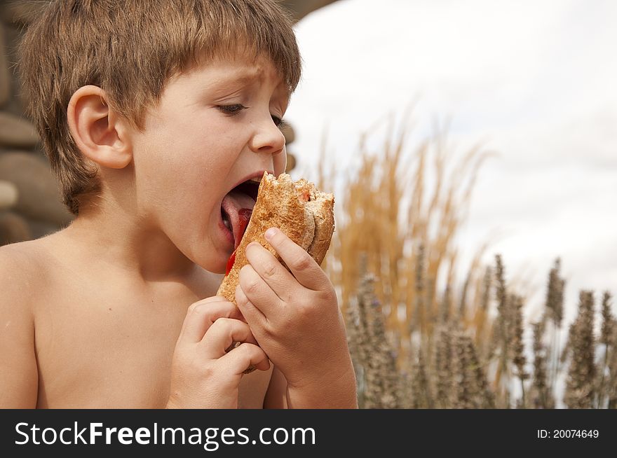 Boy holding a hot dog and licking catchup off the bread. Boy holding a hot dog and licking catchup off the bread