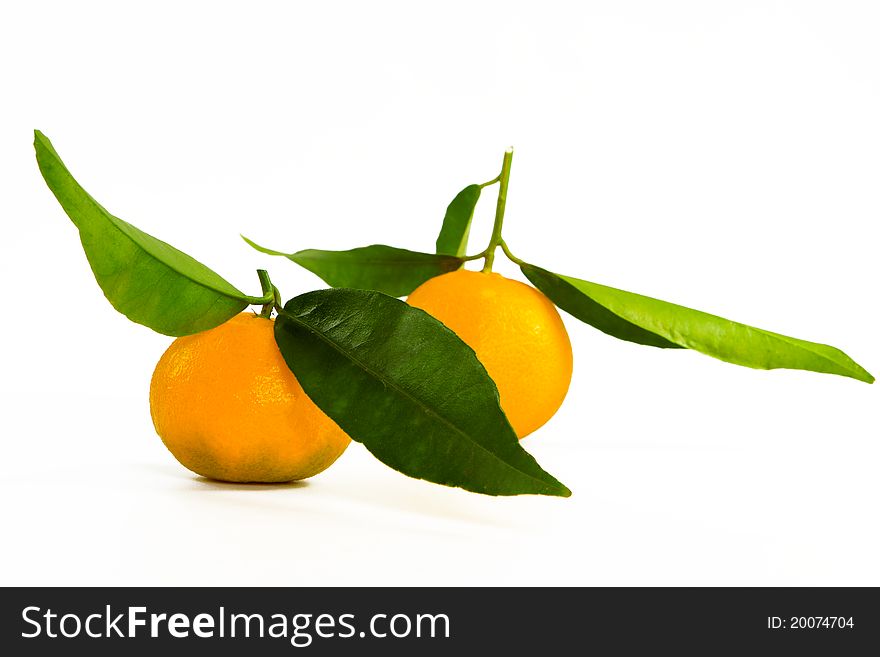 2 Mandarins, with leaves and white background