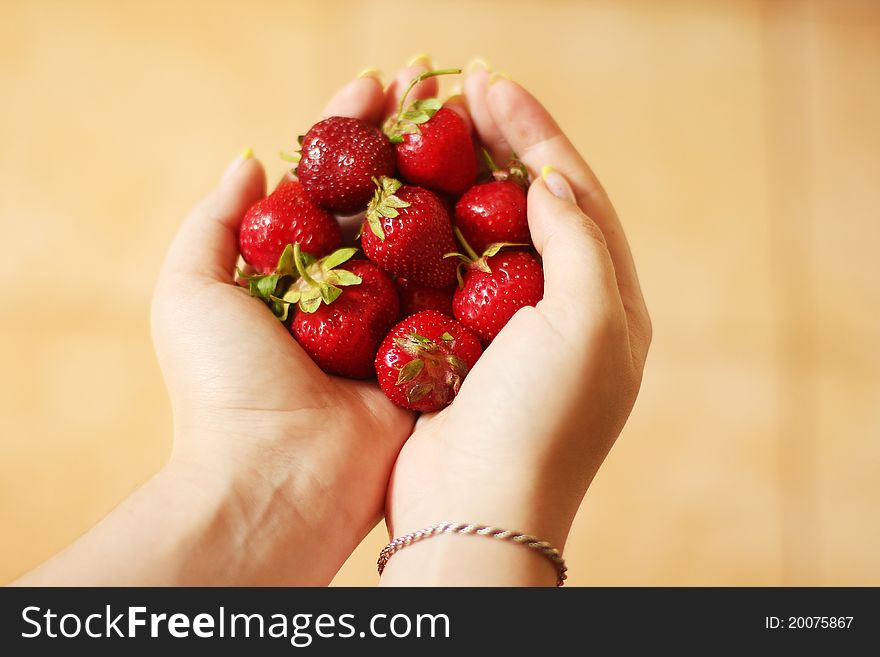 Ripe strawberries in the hands. Ripe strawberries in the hands