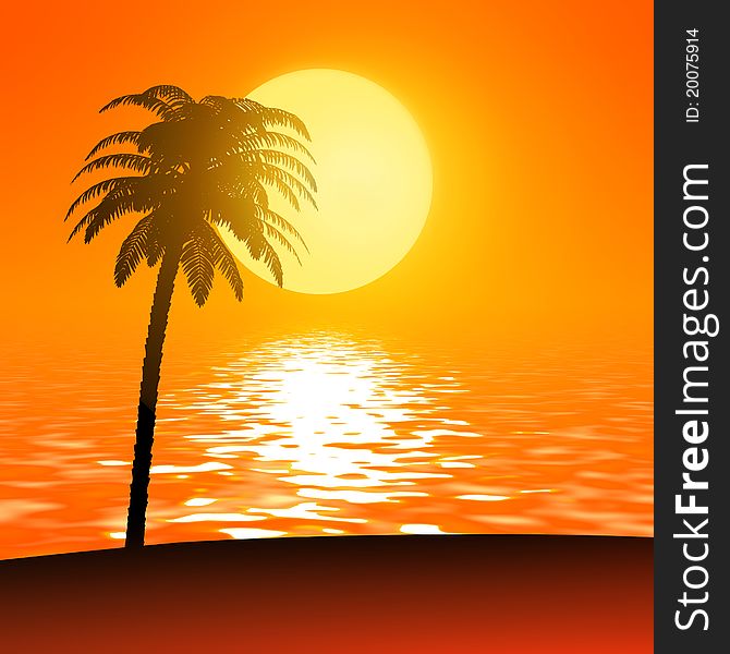 Palm against sun / sunset travel background. Palm against sun / sunset travel background