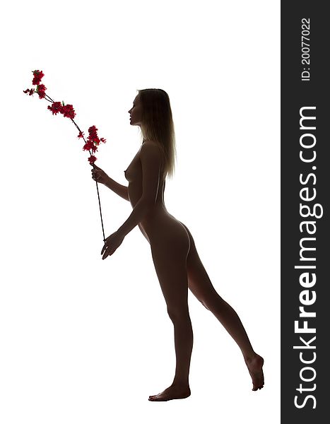 Silhouette of woman with a branch of flowers