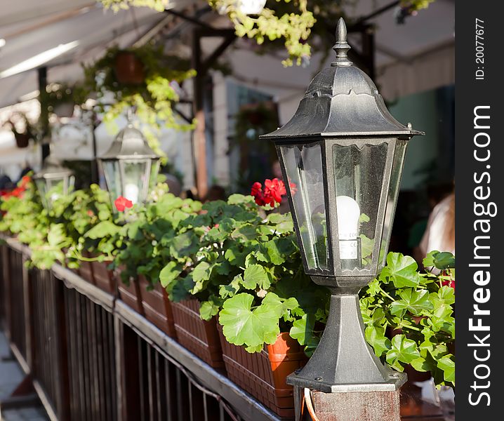Electric retro lantern with plants decoration. Electric retro lantern with plants decoration