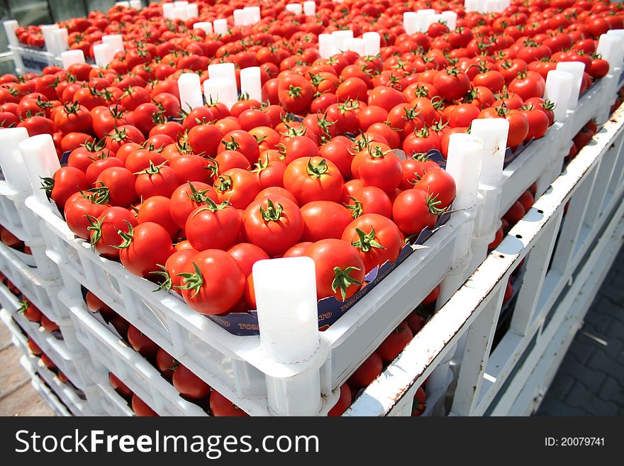 Ripe tomatoes for sale in other countries. Ripe tomatoes for sale in other countries