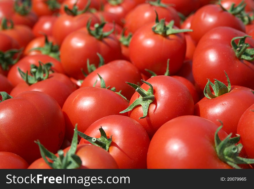 Red Ripe Tomatoes