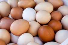 Lot Of Eggs Stock Images Lot Of Eggs Stock Images