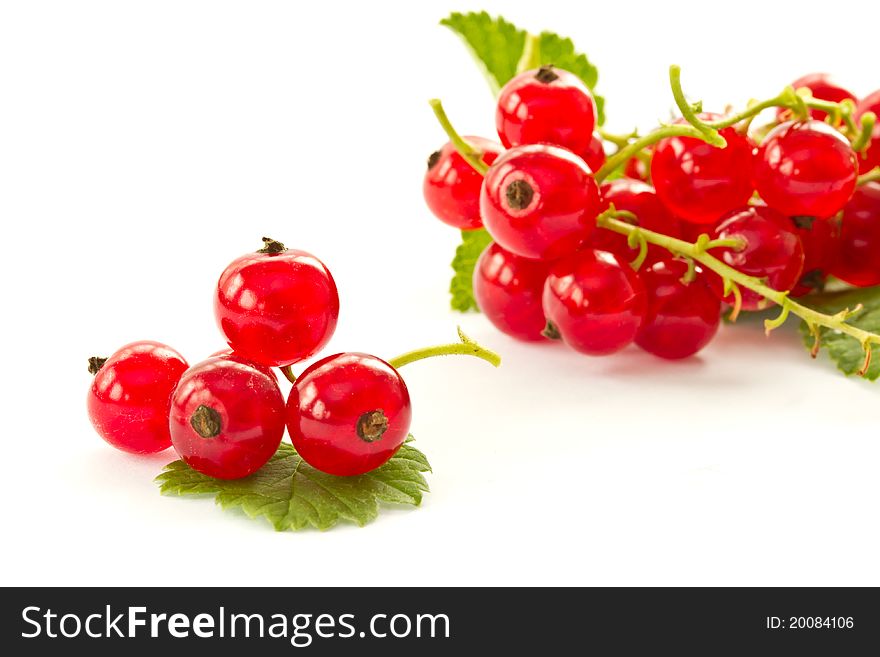Ripe red currant berries on a white background. Ripe red currant berries on a white background