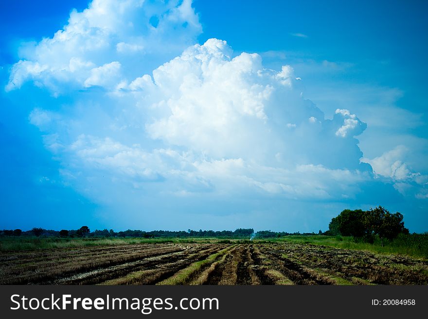 Field With Blue Sky In Thailand