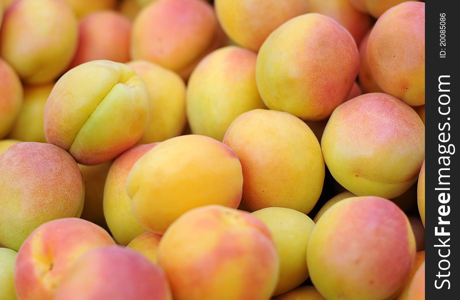 Delicious apricots are in the market