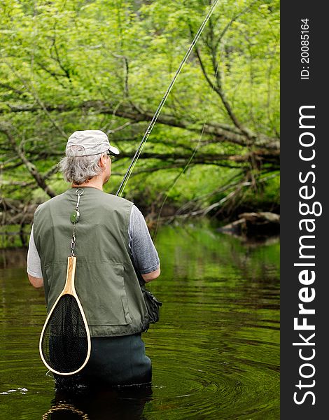 The back of a fly fisherman reeling in his catch. The back of a fly fisherman reeling in his catch