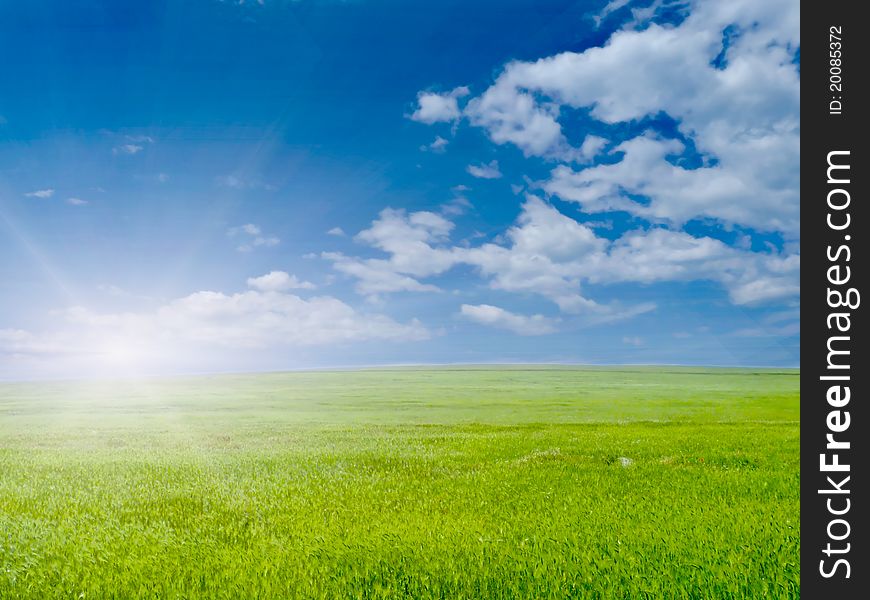 Green grass and blue sky with clouds