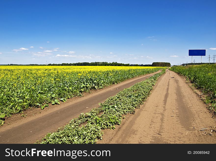 Field of yellow flowers and suburban dirt road that goes the distance. Summer landscape.