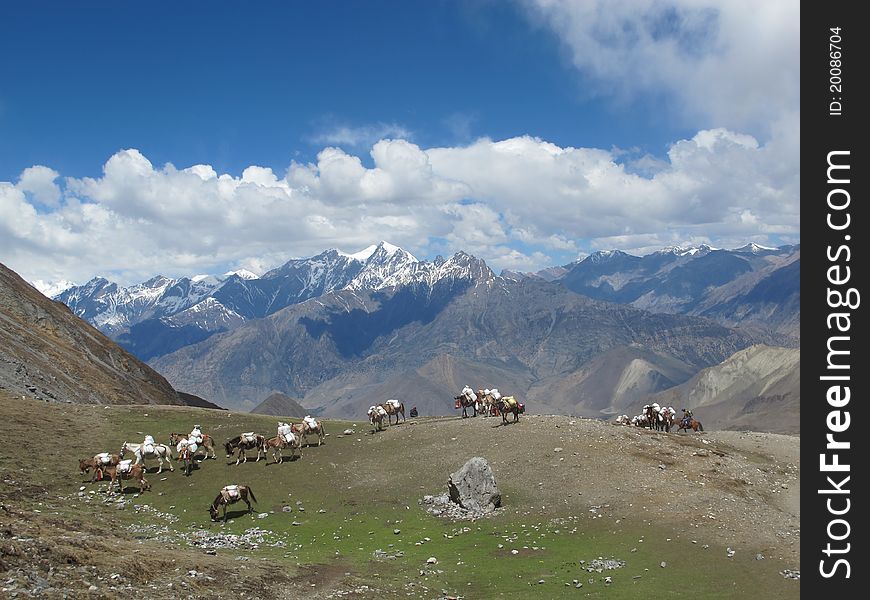 Way to Torang-La. Amazing landscape