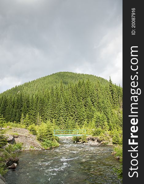 Clear mountain brook and bridge crossing in Romania