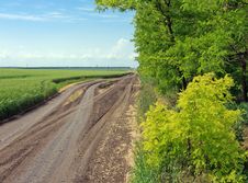 Road Between The Field And Forest Stock Photography Road Between The Field And Forest Stock Photography