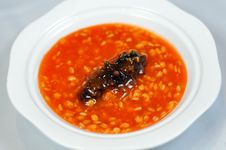 Sea Cucumber Meat Porridge Stock Photos Sea Cucumber Meat Porridge Stock Photos