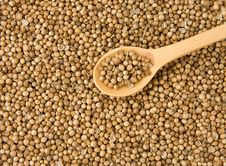 Spice Cloves And Wooden Spoon Royalty Free Stock Photo Spice Cloves And Wooden Spoon Royalty Free Stock Photo