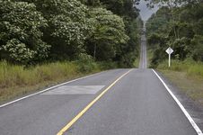Asphalt Road In Forest Stock Photos Asphalt Road In Forest Stock Photos