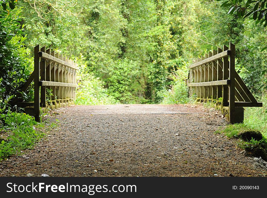 Wooden bridge in forest in Ireland